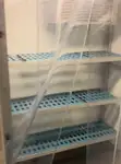 クルーズフェリー 販売中