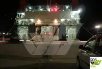 Ro-Ro船 販売中