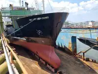 Ro-Ro船 販売中