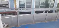 カタマラン 販売中