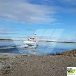 Ro-Ro船 販売中