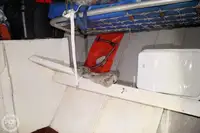 フェリー 販売中