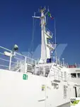 RoPax船 販売中
