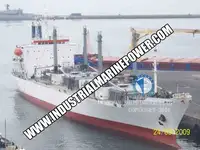 冷凍船 販売中