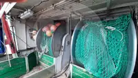生きた魚輸送船 販売中