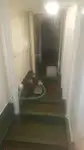 Ro-Ro船 販売中