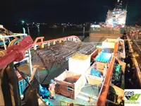 曳船 販売中