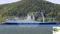 Ro-Ro ship 販売のため