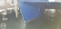 カタマラン 販売中