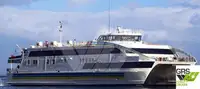 Ro-Ro船 販売中