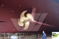 クルーズ船 販売中