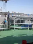 浚渫船 販売中