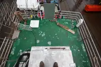 フェリー 販売中