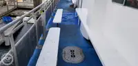 カタマラン 販売中