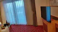 クルーズ船 販売中