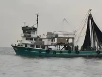 巻き網漁船 販売中