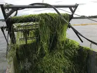 バラスト水タンカー 販売中