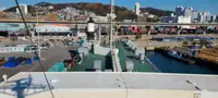 Ro-Ro船 販売中