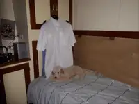 巡視艇 販売中