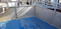カタマラン 販売中