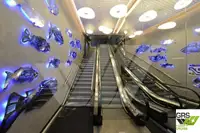 Ro-Ro船 販売中