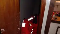 フェリー 販売中