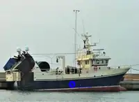 魚の加工と輸送に使用する船舶 販売中
