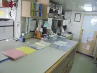 巡視艇 販売中