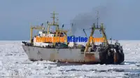 冷凍船 販売中