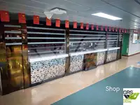 Ro-Ro船 販売中
