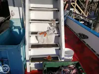 フェリー 販売中