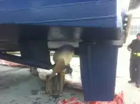 乗組員輸送船 販売中