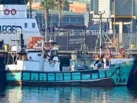Purse seiner 販売のため