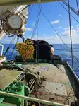 Purse seiner 販売のため