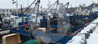 生きた魚輸送船 販売中