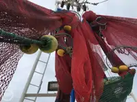 トロール漁船 販売中