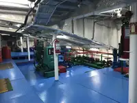 Ro-Ro ship 販売のため