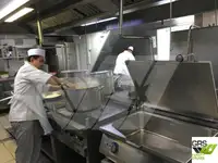 クルーズ船 販売中