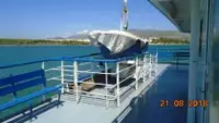 Ro-Ro ship 販売のため