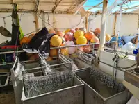 延縄漁船 販売中