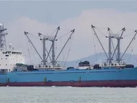 冷凍船 販売中