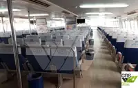 クルーズ船 販売中
