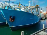 Trawler 販売のため