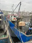 生きている魚のキャリア 販売のため