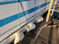 フェリー 販売中