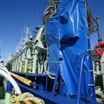 Purse seiner 販売のため