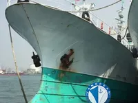 延縄漁船 販売中