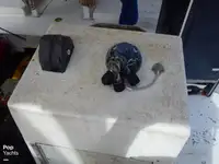 トロール漁船 販売中