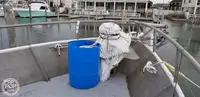 トロール漁船 販売中