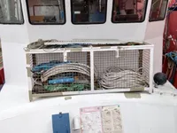 測量船 販売中